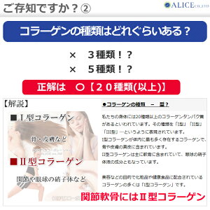 非変性活性2型コラーゲン『UC-IIエクセレント(60粒)3箱セット』{UC−2UC2UC・2UC・IIUC-2UC−〓UC〓MC2MCー2MC-IIMC-2EXMC2EXMC・2EX}非変性2型コラーゲン非変性活性II型コラーゲン非変性II型コラーゲンサプリMC-2EX改良版【送料無料】rsp