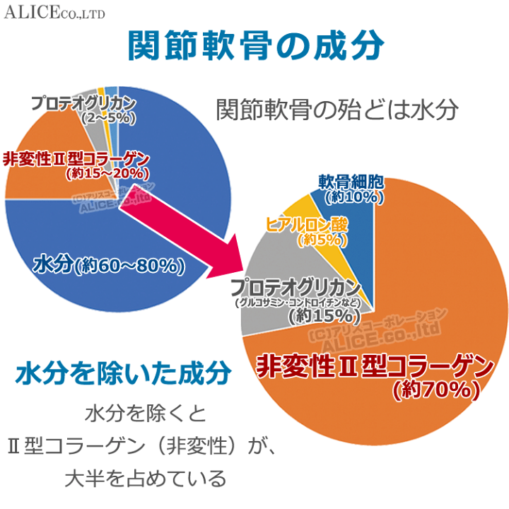 楽天市場】【正規販売店】非変性活性2型コラーゲン MC-II EX