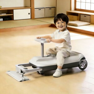 �y2026�ŐV�z�d���S�[�J�[�g �q���p �N���[���J�[�q���̓d���S�[�J�[�g ��p�ߋ� �[�d�� ���|���@�\�t�� �E�B�O���J�[ ���S ��蕨 ���肵 �]�|�h�~�@�\ ���x���� �������[ �����^�ѕ֗� ��