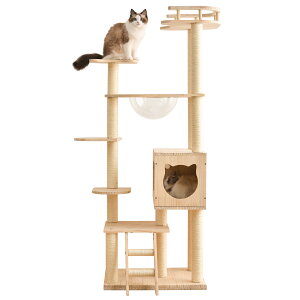 Lbg^[ FD  u  Lbg^[ ؐ R ܂Ƃ{[ Lxbh SS ybgpi