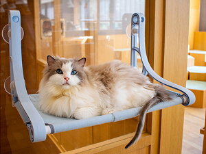 L nbN  L xbh Lxbh zՎ ω׏d20kg tȒP ͂ȋz | nbN ݂xbh  lRp L Lbg ˂ p  ^ xe zՎ ybg l