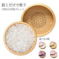 楽天市場】浄化 プレートの通販