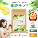 【 定期コース 】【胎内神社お守りナシ】【縛りなし】【いつでも解約可能】 フェリチン フェリチン鉄 葉酸 サプリ 葉酸サプリ 天然葉酸 隠れ貧血 貯蔵鉄 800μg やさしい葉酸 1袋 (約30日分) 送料無料 ト ミモザ製薬 鉄