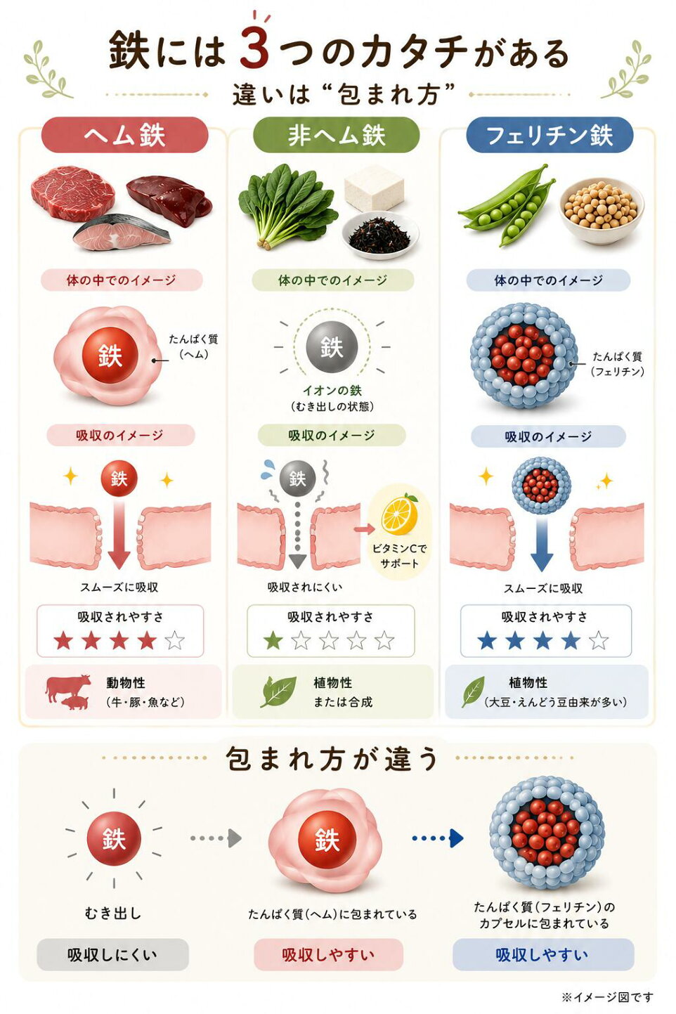 ヘム 鉄 と 非 ヘム 鉄 の 違い