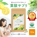 ＼最大2500円OFFクーポン発行中／ 12袋(約1年分）葉酸サプリ 葉酸 サプリ フェリチン鉄 妊活 妊娠 妊婦 授乳 子育て ママ 天然葉酸隠れ貧血 貯蔵鉄 800μg 活性型 やさしい葉酸 送料無料 オーガニック サプリメント 葉酸サプリメント