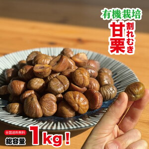 _󂠂̂ߌ^L@ނÌI 1kg 󂠂 Y I ͐@  sgp I   yY  v[g ̓Mtg VÊÌI Y p ԃXC
