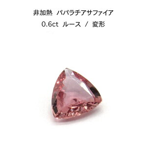 y1s[XzM pp`A Tt@CA 0.6ct ό` [X  ӕʏ A Xg[  H 9a ̓ w  Mtg v[g J