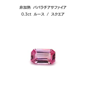 y1s[XzM pp`A Tt@CA 0.3ct XNGA [X  ӕʏ A Xg[  H 9a ̓ w  Mtg v[g J