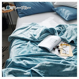 【秋冬もふわふわ】毛布 ブランケット 冬用 薄手 ふわとろ毛布 ふわふわ 毛布 ボリュームタイプ セミダブル ハーフ シングル ダブル ひざ掛け 膝掛け もうふ 暖かい おしゃれ 静電気防止 エ