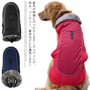 ybg /^ m p[XybgEFA WvX[c Jo[I[ Ȃ xXg ybgpi {A hbOEFA R[g }WbNe[v g h o U 