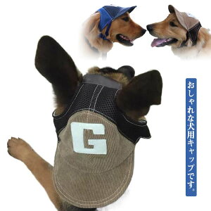 p  Xq  ^ 悯  ^ bV  MǑ΍ Xq ^p ObY Lbv hbOnbg Ђt ߉\ U o 蕨  t 