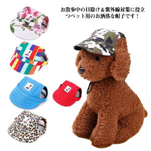 Xq  t nbg Lp L 悯    p Oh~ hbOnbg Xq MǑ΍ ăoeh~ 蕨 ybg Ck ^ ybgp Mtg L lR ˂ o ʐ^Be 
