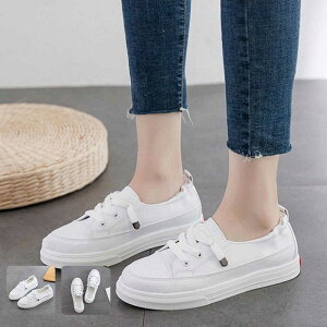 Xj[J[ ^C y fB[X jOV[Y [Jbg ɂ  C 203040