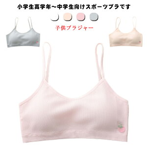 2_Zbg quW[ n[tgbv WjAu Jbvt LbY mC[ u ȍ qp n X|[cu WjA K[Y Ci[ ̎q w 2_Zbg w 