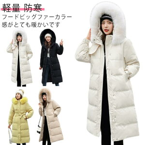 傫TCY h O_ER[gt[ht O  h AE^[ Wp[ ̌^Jo[ R[g y fB[X   i l fB[Xx`R[g 