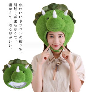 蕨 Ԃ C hS x  CN   2024 Ԃ RXvߑ Aj}nbg RXv dragon Lbv Aj}Xq CN ʂ ̖Xq g h΍