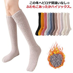  2Zbg nC\bNX C fB[X C  R[t[X   p ۉ h w  p   AQ ӂӂ RR  H~ 