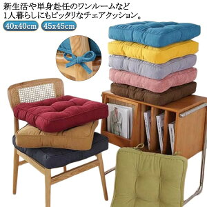 n 45x45cm R[fCn ᔽ `FApbh zc zc NbV V[gNbV 40x40cm tANbV  ֎q u  傫 ɑ΍ fXN[N p 