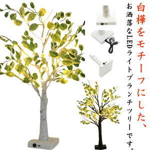 C~l[V LEDCg NX}Xc[ tt USB u dr ƖCg c[ iCgCg  k  Qp p[eB[  NX}X  Ce