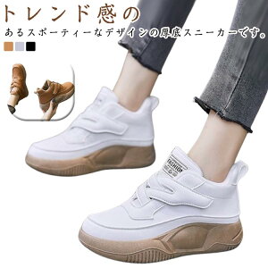 fB[X nCJbg  O JWA O fB[X {A RtH[gV[Y EH[LO EH[LOV[Y Xj[J[ ₷ ~ r r 