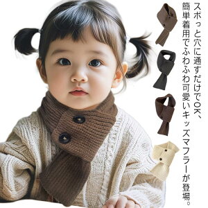  LbY }t[ { jbgeBybg q qp}t[ jbg Xk[h h ~  lbNEH[}[  j̎q ̎q 킢 TCY