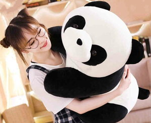 ̓  ʂ  ʂ panda  p_ a _炩 q̃v[g a j ޏ ̓Mtg