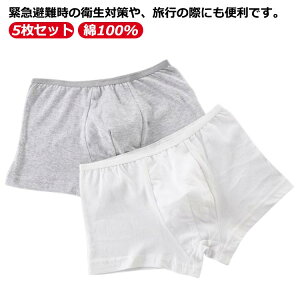 傫TCY ^ ֗ObY Y 100% COs jp  ĝ {NT[^Cv 5ZbgIĝăpc {NT[pc RbgV[c ʋC Rbg X|[c g