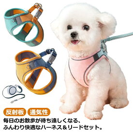 送料無料 ハーネス 小型犬 中型犬 ペット用品 引きひも ハーネス＆セット お散歩 グッズ 可愛い 抜けない 胴輪 反射板 マジックテープ 愛犬グッズ ペット用品 ペットグッズ 犬用品 いぬ シンプル ハーネスベルト 夜 安全 お散歩用 紐