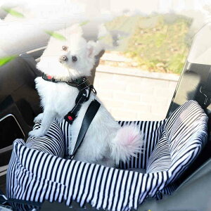  xbh hCuxbh  (яoh~tbN1{t) J[xbh \t@xbh ԍڗp ƒp s o hCuV[g