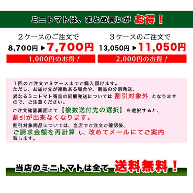 【送料無料】【ミニトマト】【高糖度】【甘い】赤糖房(あかとんぼ)約160g×6パック入りフルーツ感覚!【まとめ買い割引あり】【フルーツトマト】