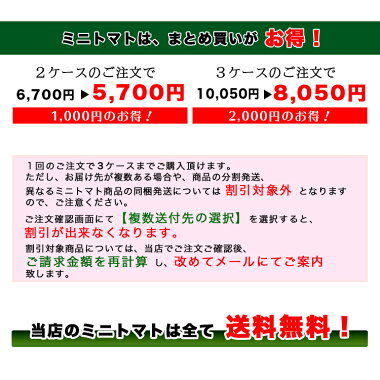 【送料無料】【ミニトマト】【高糖度】【甘い】王糖姫(おとひめ)約300g×5パック入り【まとめ買い割引あり】【フルーツトマト】