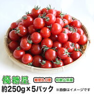 【送料無料】 ミニトマト 高糖度 甘い 優糖星（ゆうとうせい）約250g×5 パック入りフルーツ感覚！