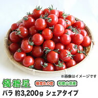 【 送料無料 】ミニトマト 高糖度 甘い優糖星（ ゆうとうせい ） バラ 約 3,200g（ 3.2kg ）シェアタイプ！