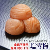 【SS限定 500円OFFクーポン配布中】【送料無料】塩零梅 200g×2箱セット （食塩不使用 塩分 約0.1％）梅…
