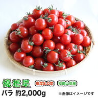 【送料無料】【ミニトマト】【高糖度】【甘い】優糖星（ゆうとうせい）バラ 約2,000gフルーツ感覚！まと…