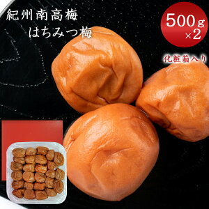 ʉ 񂿂݂̂͂~ 500g ϔ×2 IB썂~ ~ a̎R Mtg yY  Ԃ  ~ ݂͂ IB~ ~ ݂͂~ ݂͂~  ~ڂ IB 