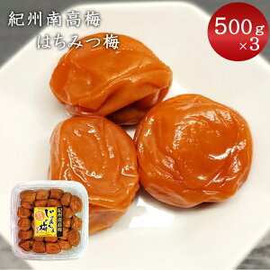 I~ I~ n`~c~ ʉ 񂿂݂̂͂~ 500g×3 IB~ IB썂~ Â Mtg 蕨 v[g yY yY Â~ ݂͂~ n~ 썂~ ~ 