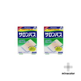 【第3類医薬品】サロンパス 40枚入 ×2個 打撲 ねんざに