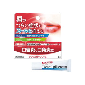 デンタルピルクリーム 5g （指定第2類医薬品） 口唇炎 口角炎 よく効く 塗り薬