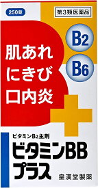 【第3類医薬品】ビタミンBBプラス 「クニヒロ」250錠