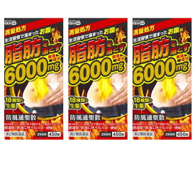 【第2類医薬品】防風通聖散料エキス錠「至聖」 450錠 6000mg ×3個セット 北日本製薬 防風通聖散料エキス錠「至聖」 396錠のリニューアル品です