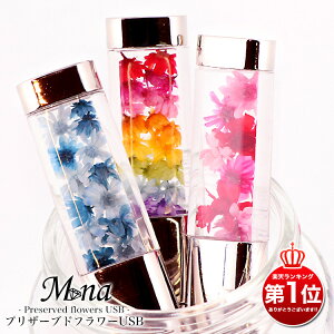 �y�����i�z�v���U�[�u�h�t�����[USB 16gb usb������ �� �t�����[ ���킢�� ������� ���� �ԍ� �h���C�t�����[ �v���U�[�u�h�t�����[ ���� ���킢�� ��̓� �M�t�g �v���[���g �m�x���e�B�[ 