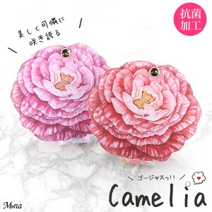 }XNP[X R {  ̃}XNp R RECX ^ Vv P[X z}XN ̃}XN gїp u P[X  AR[ PVC JA@ԁ@t[