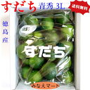 【クール便 送料無料】ハウスすだち 【3L青秀 丸秀 B品 】産地直送 徳島産　すだち皮　スダチチン　【1 kg箱入 / 32～36玉】すだち酢 すだち果汁【北海道,沖縄便は＋900円送料】