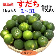 すだち 露地物【訳あり 1kg 】( キズあり・色付き ・ 大きさL～3L不揃 )クール便発送　家庭用 徳島産 す…