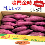【新芋】なると金時 さつまいも【5kg 】M～Lサイズ 25本前後 【送料無料】 鳴門金時 焼き芋 大学芋 スィ…