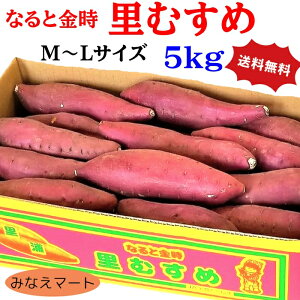 ܂ ȂƋ ނ y5kg M,L@z Tc}C YYikC͑{900~j