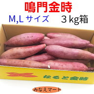 【新芋】さつまいも なると金時【3kg 】M～Lサイズ 約15本入り【送料無料】【北海道沖縄は900円】徳島産 …