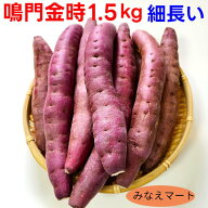 【数量限定 特価】なると金時 細長い 訳あり品 1.5kg 鳴門産 さつまいも 鳴門金時