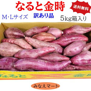 ȂƋ 󂠂 5kg yzy M, LTCY 25{Oz Y ܂ Ă w XB[g|eg  Tc}C  Yn